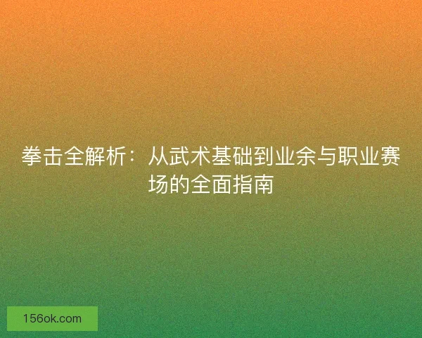 拳击全解析:从武术基础到业余与职业赛场的全面指南 拳击全解析:从武术基础到业余与职业赛场的全面指南