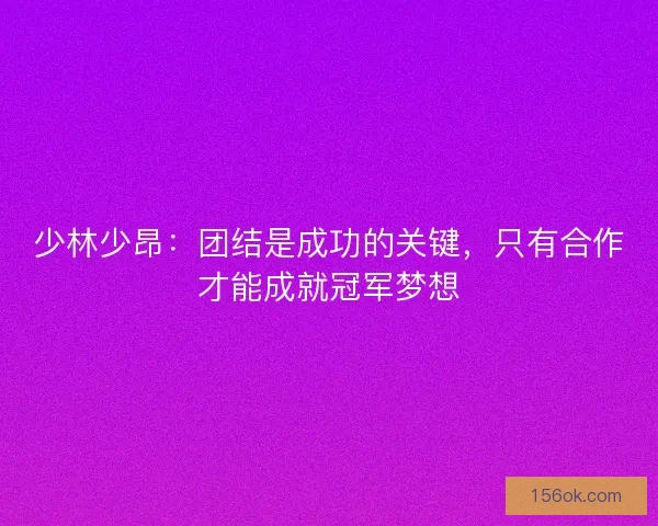 少林少昂：团结是成功的关键，只有合作才能成就冠军梦想